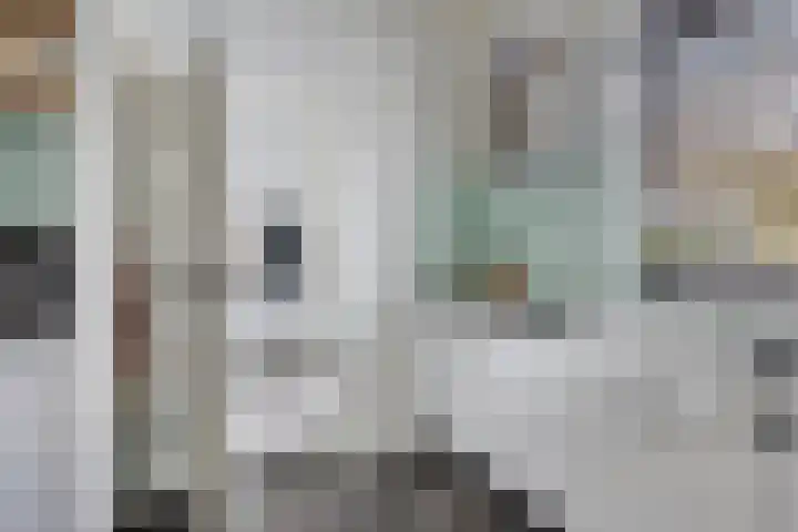 Bredaseweg 7 Chaam thumbnail 15