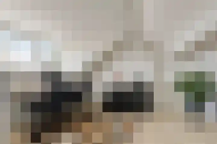 Bredaseweg 7 Chaam thumbnail 30