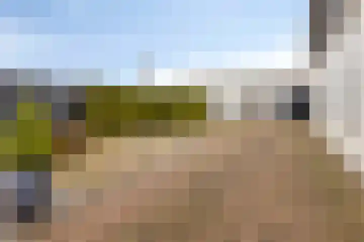 Bredaseweg 7 Chaam thumbnail 33