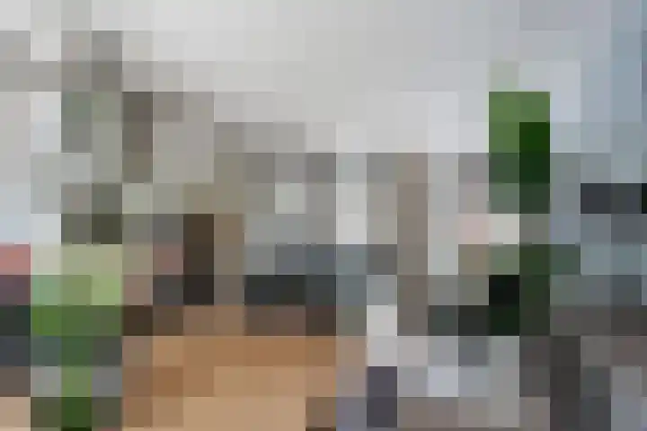 Bredasingel 131 Arnhem thumbnail 12