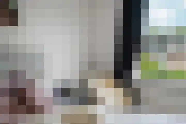 Bredasingel 131 Arnhem thumbnail 17
