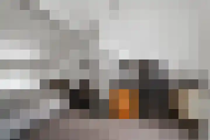 Bredasingel 131 Arnhem thumbnail 26