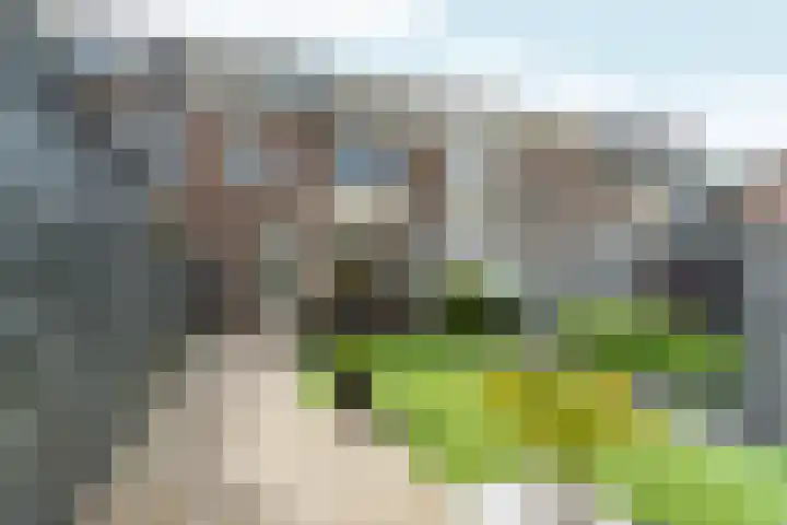 Bredasingel 131 Arnhem thumbnail 33