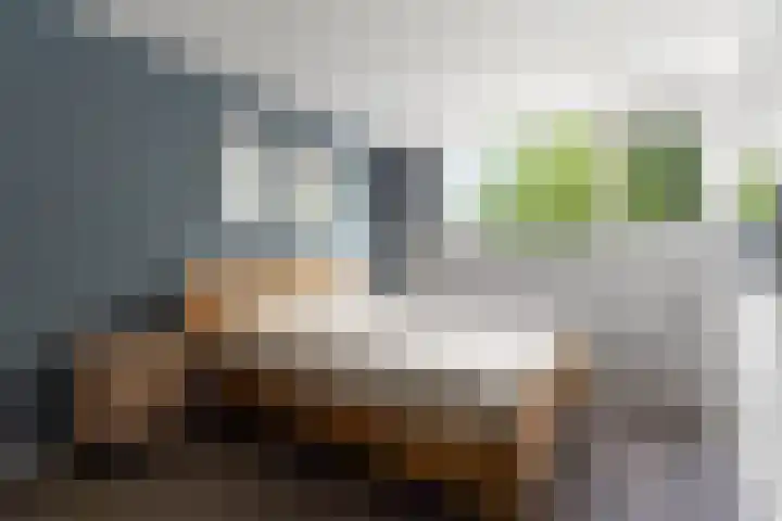 Bredasingel 150 Arnhem thumbnail 13