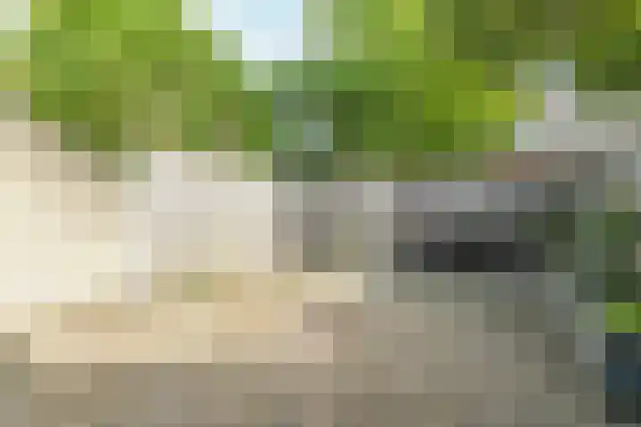 Bredasingel 150 Arnhem thumbnail 20