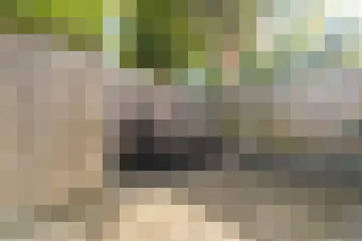 Bredasingel 150 Arnhem thumbnail 23