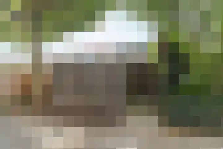 Bredasingel 150 Arnhem thumbnail 24