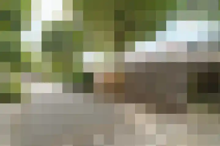 Bredasingel 150 Arnhem thumbnail 25