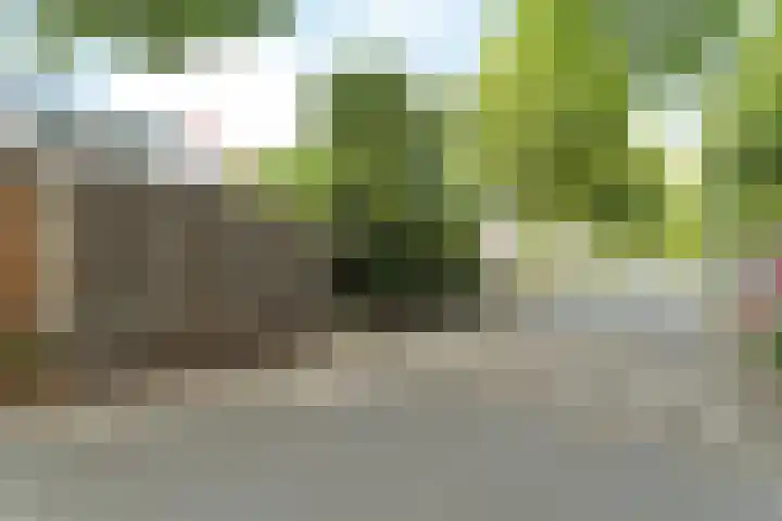Bredasingel 150 Arnhem thumbnail 26