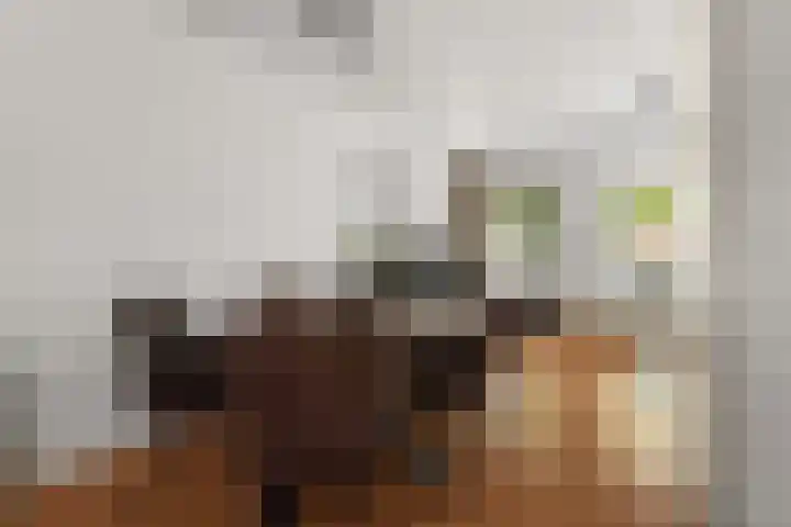 Bredasingel 150 Arnhem thumbnail 5