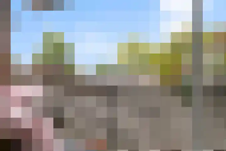 Bredasingel 202 Arnhem thumbnail 19