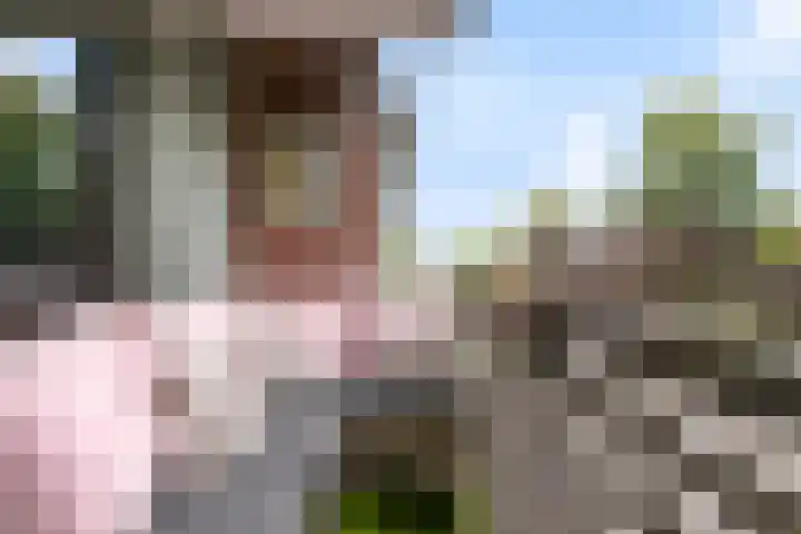 Bredasingel 202 Arnhem thumbnail 20