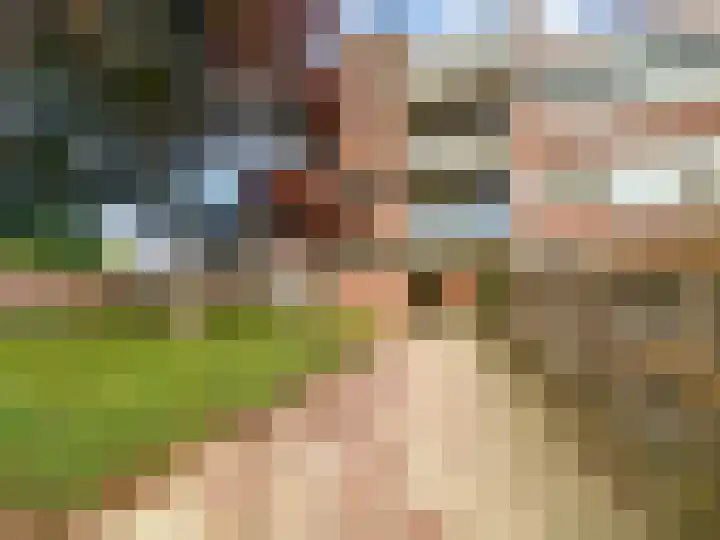 Bredasingel 202 Arnhem thumbnail 25