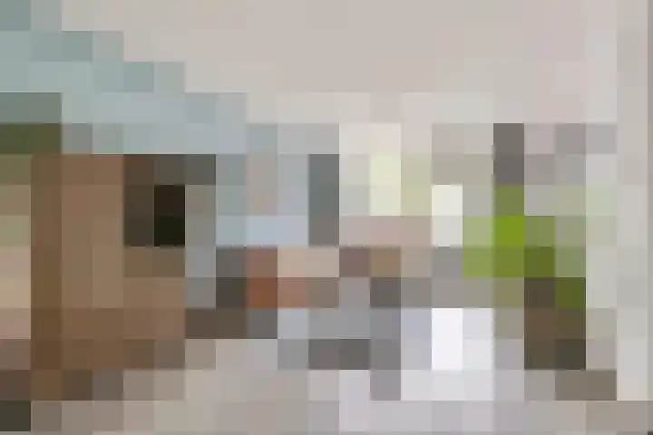 Bredasingel 202 Arnhem thumbnail 4