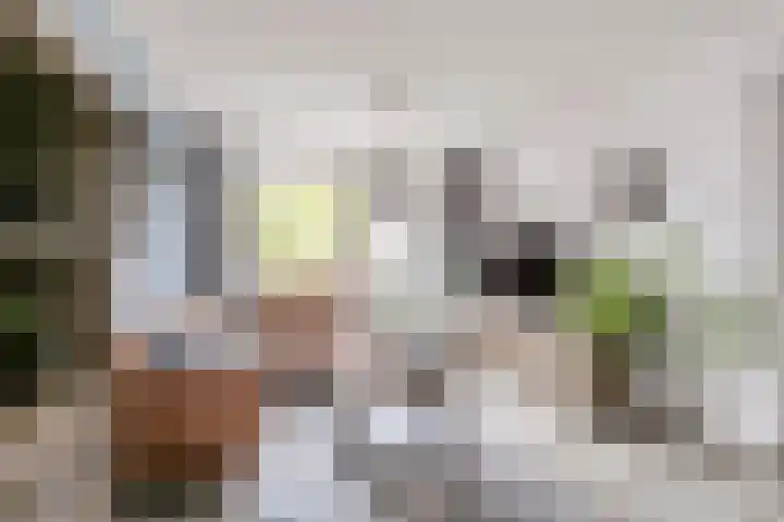 Bredasingel 202 Arnhem thumbnail 5