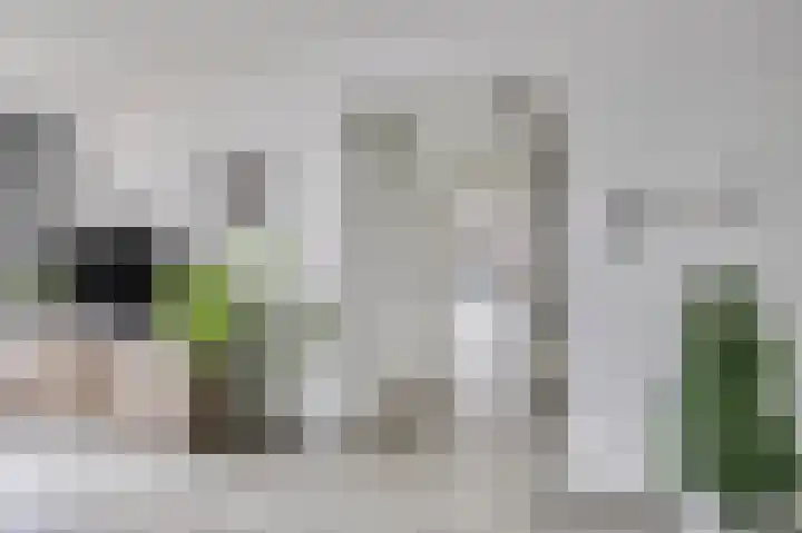 Bredasingel 202 Arnhem thumbnail 6