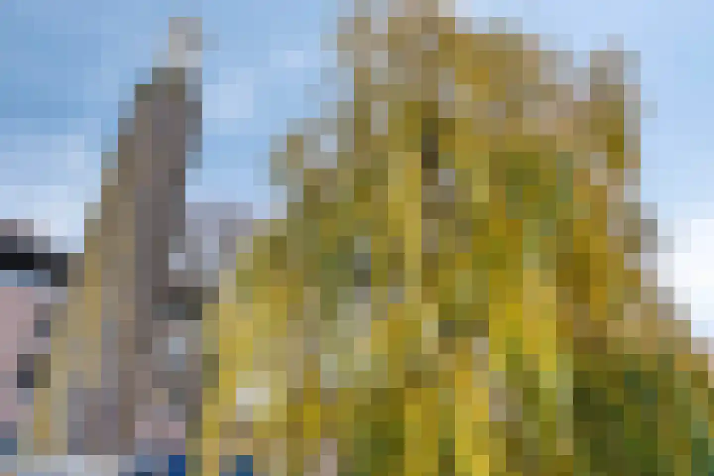 Brede Haven 7 A 's-Hertogenbosch thumbnail 48
