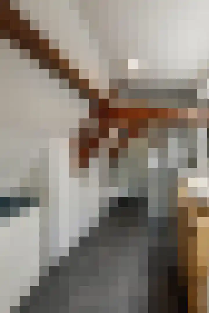 Brede Haven 72 's-Hertogenbosch thumbnail 35