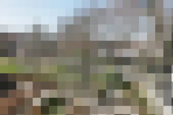 Brede Haven 72 's-Hertogenbosch thumbnail 46