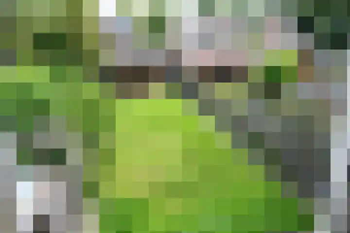 Bredehof 27 Espel thumbnail 22