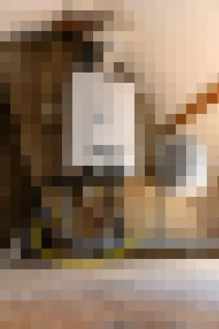 Bredehof 27 Espel thumbnail 33