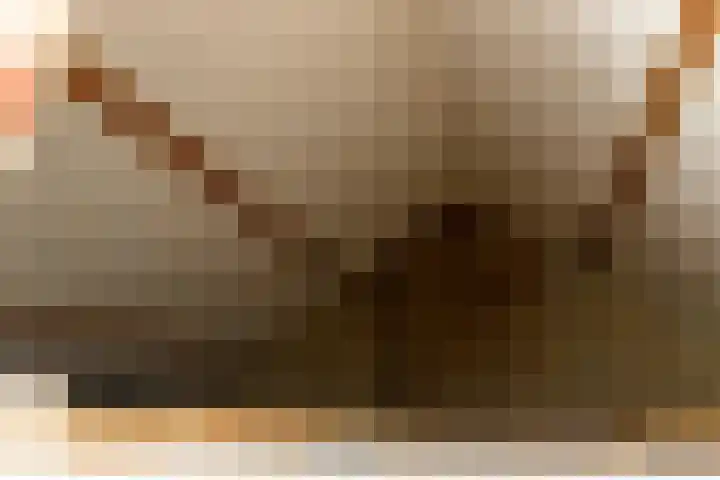 Bredehof 27 Espel thumbnail 34
