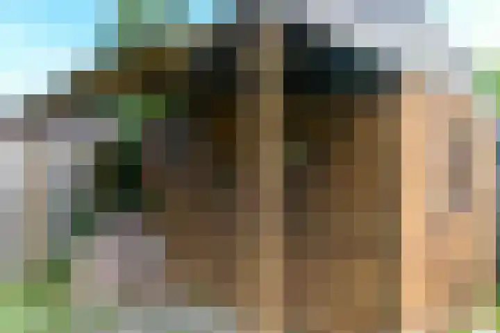 Bredehof 27 Espel thumbnail 39