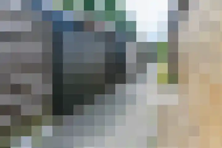 Bredehof 27 Espel thumbnail 40