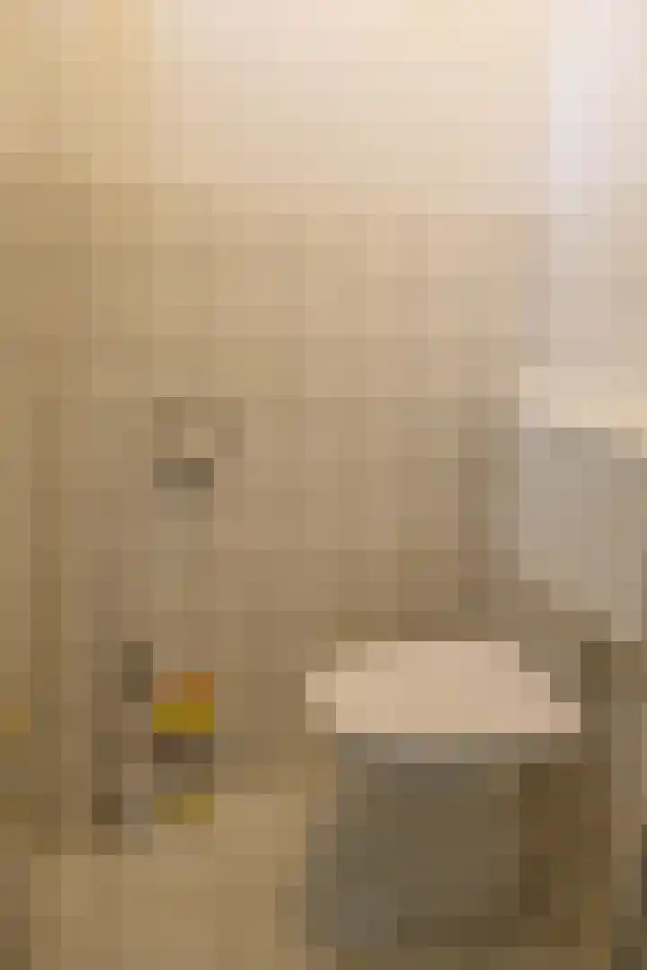 Bredehof 27 Espel thumbnail 6