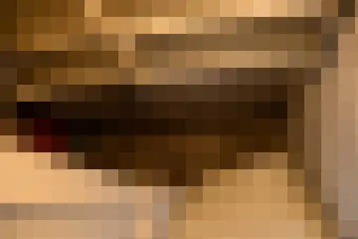Bredehof 27 Espel thumbnail 8