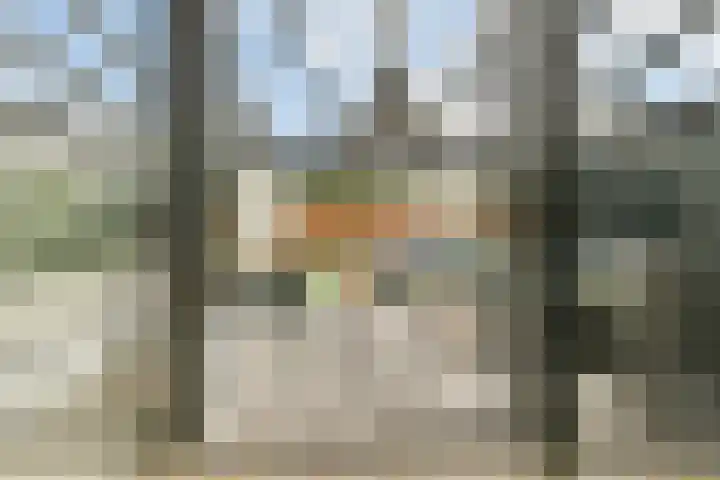 Brederode 1 Amstelveen thumbnail 11