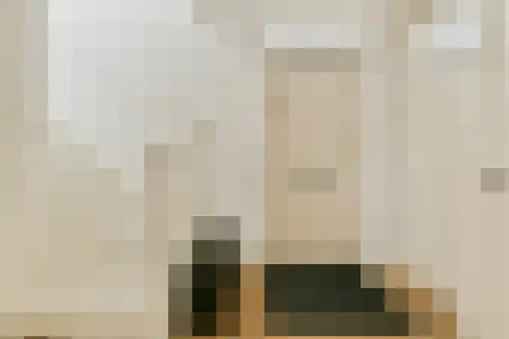 Brederode 1 Amstelveen thumbnail 13