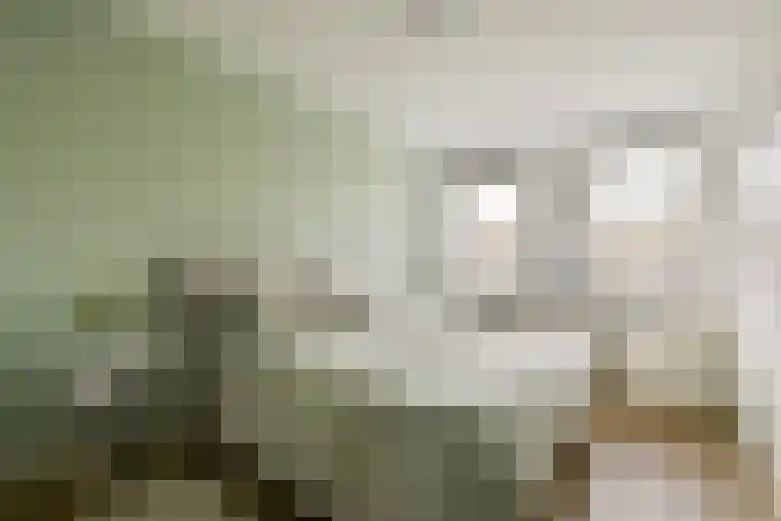 Brederode 1 Amstelveen thumbnail 16