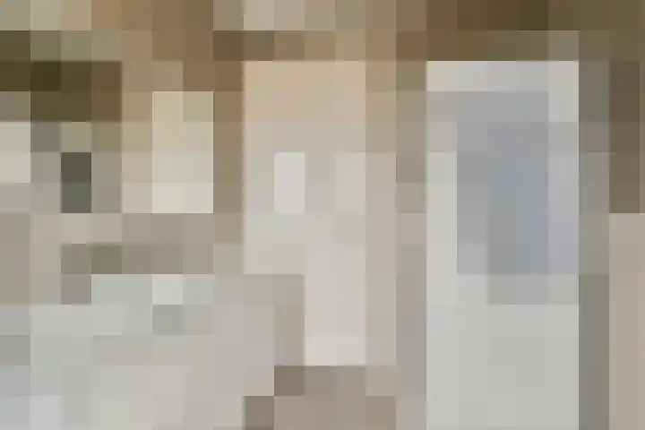 Brederode 1 Amstelveen thumbnail 19