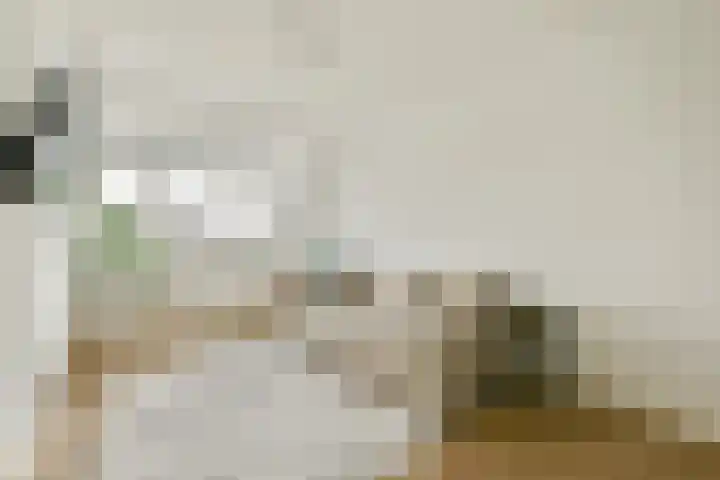 Brederode 1 Amstelveen thumbnail 25