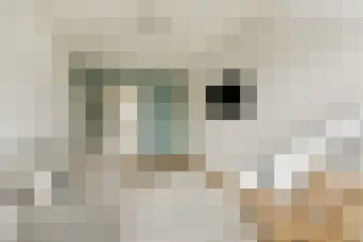 Brederode 1 Amstelveen thumbnail 26