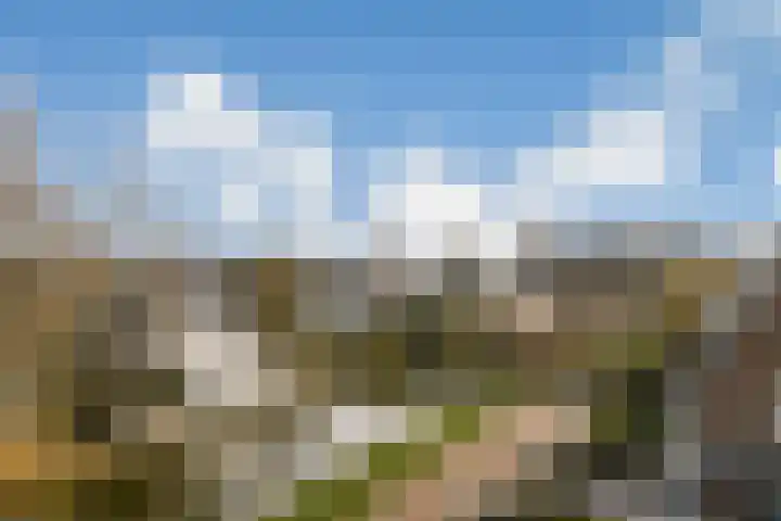 Brederode 1 Amstelveen thumbnail 32