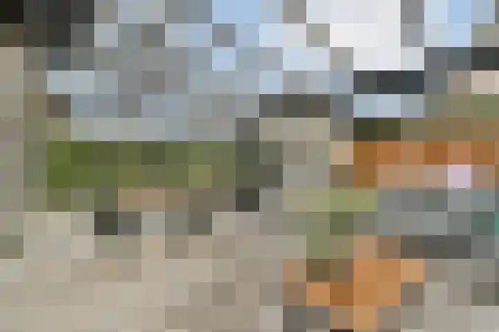 Brederode 1 Amstelveen thumbnail 4