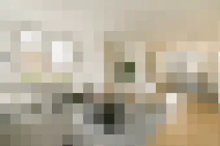 Brederode 1 Amstelveen thumbnail 5