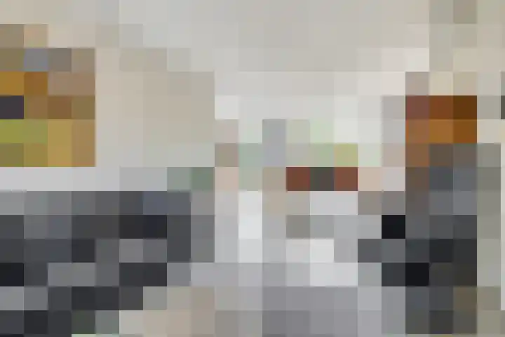 Brederode 15 Huizen thumbnail 12