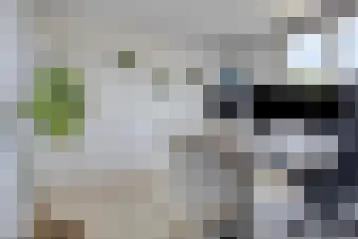 Brederode 15 Huizen thumbnail 17