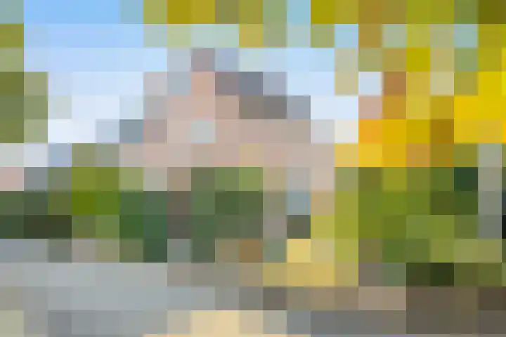 Brederode 15 Huizen foto 2