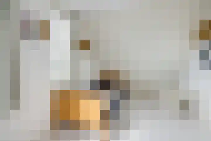 Brederode 15 Huizen thumbnail 24
