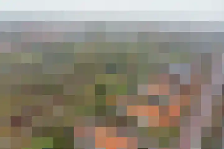 Brederode 15 Huizen thumbnail 25