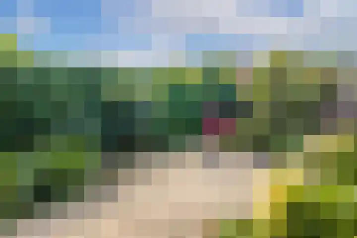 Brederode 15 Huizen thumbnail 32