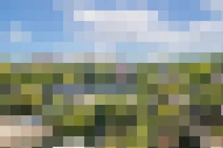 Brederode 15 Huizen thumbnail 35