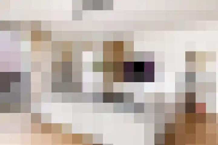 Brederode 15 Huizen thumbnail 42