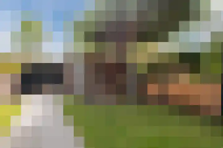 Brederode 15 Huizen thumbnail 43