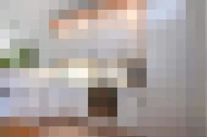 Brederode 154 Leidschendam thumbnail 13