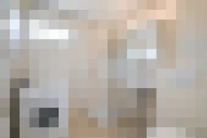 Brederode 154 Leidschendam thumbnail 18